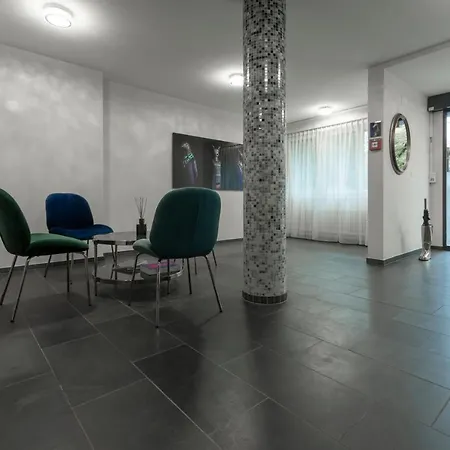 Birsighof Center Hotel Basel