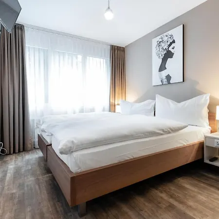Birsighof Center Hotel 3*
