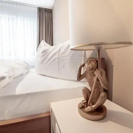 Birsighof Center Hotel 3*